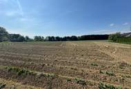 Attraktives Baugrundstück mit Entwicklungspotenzial – schöne Lage in St. Marein Nähe Wolfsberg