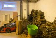 Einfamilienhaus und Gästehaus auf großem Grundstück, Pool und Schneebergblick!