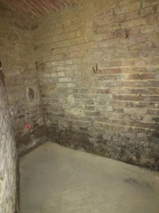 Kellerabteil am Tabor!