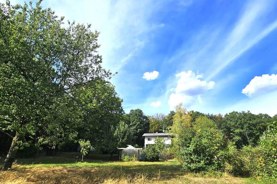 "NEUER PREIS" - CHARMANTE LIEGENSCHAFT AM WALDFRAND FÜR NATURLIEBHABER BZW. MEHRERE GENERATIONEN, Haus-kauf, 548.000,€, 3052 Sankt Pölten(Land)