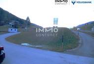 Betriebsbaugrund Waidhofen/Y - Gaflenz