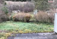 Wunderschöne 3-Zimmer-Wohnung in traumhafter Grünlage