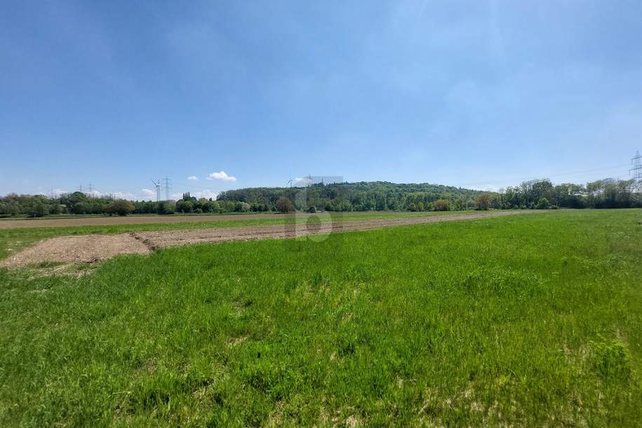 AN BAULANDGRENZE MIT HOHEM UMWIDMUNGSPOTENTIAL, Grund und Boden-kauf, 184.000,€, 3130 Sankt Pölten(Land)