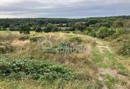 Traumhafter Grund mit Teilwidmung Reitplatz/Reitanlage - 7250 m² um nur 80.000 €!