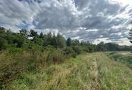 Kleinsitzendorf: Baugrund voller Möglichkeiten – Traumplatz, Traumidee, Traum wird wahr!