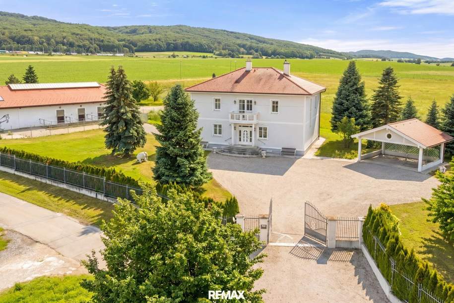 Exklusives Pferdeanwesen nahe Wien – Villa, Reitviereck mit Flutlichtanlage, eingezäunte Koppeln, zweites Wohnhaus und über 25.000 m² Eigengrund, Haus-kauf, 1.980.000,€, 3062 Sankt Pölten(Land)