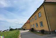 GARTENSTADT 11!