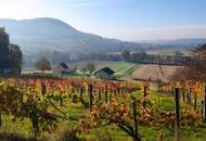 Aussicht: unglaublich - Lage: perfekt - Wohnfläche erweiterbar