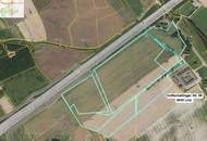 Grünland FÜR Ackerbau mit einer leichten Widmungsfantasie 17 Hektar