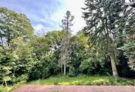 360° TOUR // REPRÄSENTATIVES EINFAMILIENHAUS in GERSTHOFER COTTAGELAGE