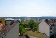 Wohnen mit Blick auf die Gloriette – 252 m² Dachgeschoß, drei Ebenen, zwei Freiflächen