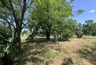 Grundstück mit Altbestand