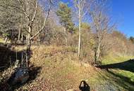 (RESERVIERT) Gutes Wohn- bzw. Ferienhaus zur Miete in wunderschöner Ruhelage mit 2 Wohneinheiten - JETZT ANFRAGEN