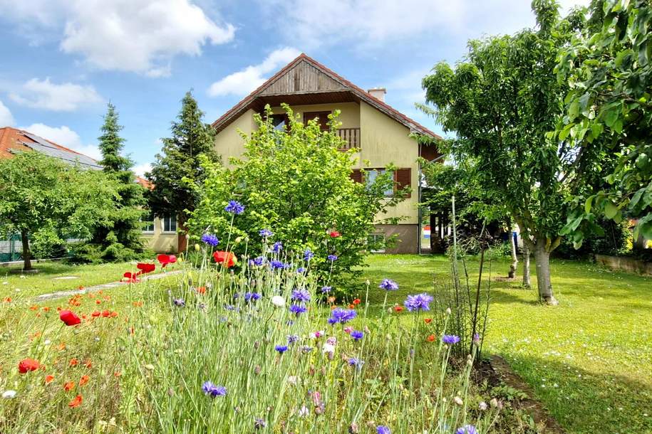 ... Rehe vor dem Fenster !!!, Haus-kauf, 429.000,€, 2230 Gänserndorf