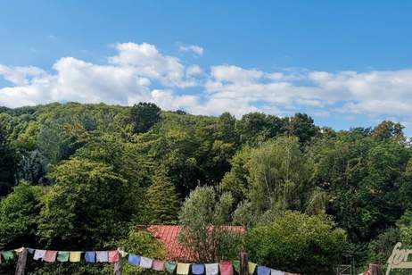 Renovierte 1900er-Jahre Villa in Alleinlage – Ruhe und Natur pur am Berg, Haus-kauf, 780.000,€, 3434 Tulln