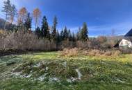 Zweifamilienhaus in Afritz: Naturnah, großflächig, sanierungsbedürftig – Ihr neues Zuhause!