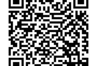 Schöne sanierte 2-Zimmer-Wohnung (Loft/Galeriewohnung)