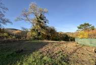 Himmlischer Baugrund in Döblinger-Traumlage