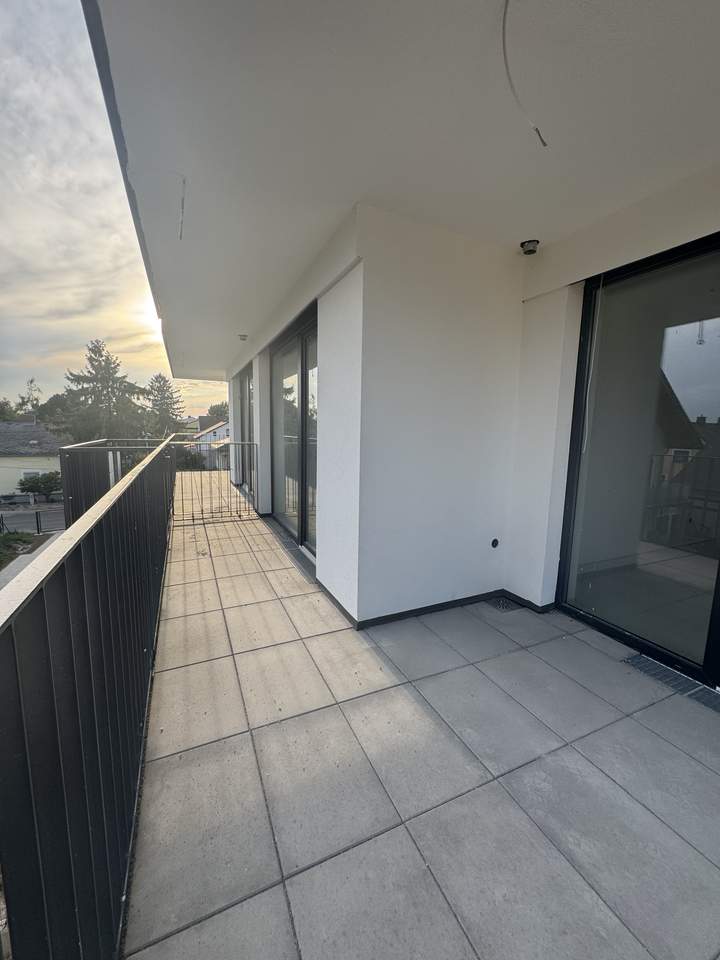 3 Zimmer*Neubau-Erstbezug*Wien Essling*große Terrasse südseitig