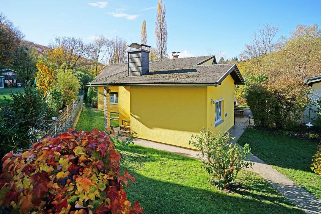 Hör mal, wer da hämmert! Einfamilienhaus zum Basteln am Fuße des Sagbergs