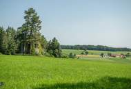 Zum Verkauf steht ein zusammenhängendes Landwirtschafts- und Waldgrundstück mit Holzhaus
