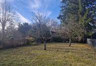 SANIERUNGSBEDÜRFTIGE VILLA IM JUGENDSTIL MIT TRAUMHAFTEM GARTEN SAMT ALTBAUMBESTAND IN ALLERBESTER WOHN- UND ZENTRUMSLAGE