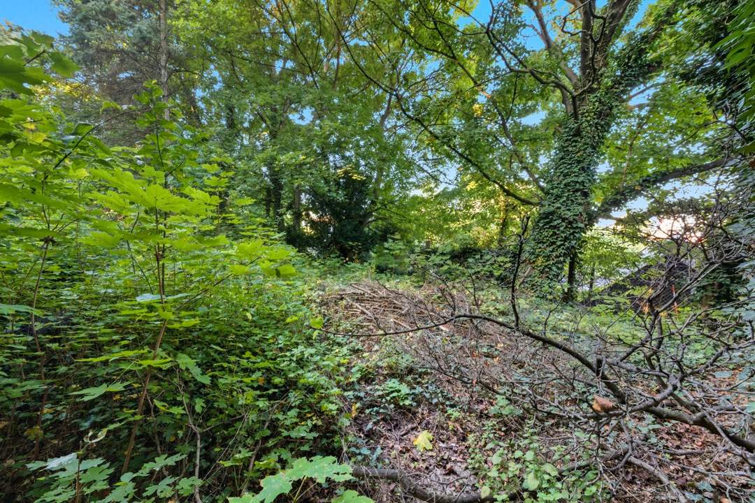 Baugrundstück in Bisamberg Bauland Wohngebiet Widmung!