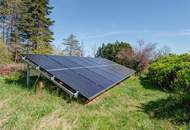 Wohnen im Grünen: Einfamilienhaus mit eigenem Wald &amp; viel Platz