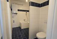 Stilvolle 2-Zimmer + Wohnküche DG Wohnung mit großer Dachterrasse in 1070 Wien (Burggasse)