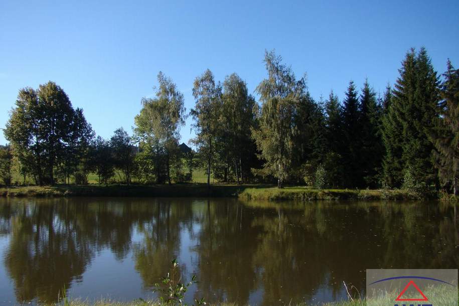 Ein Paradies für Fischer und Teichwirte im Bezirk Waidhofen an der Thaya, Grund und Boden-kauf, 320.000,€, 3852 Waidhofen an der Thaya