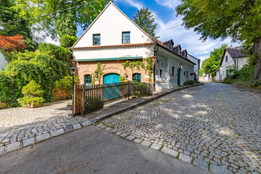Charmanter Weinkeller mit Wohnung und Terrasse in Top-Lage!, Gewerbeobjekt-kauf, 270.000,€, 2020 Hollabrunn