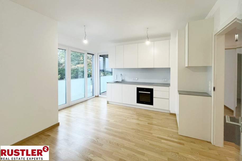 2 Zimmerwohnung mit Loggia und Lift, Wohnung-miete, 1.125,00,€, 2344 Mödling