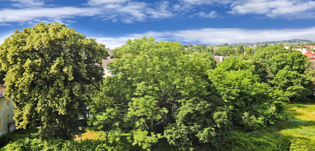 BALKON | 2 ZIMMER | ERSTBEZUG |ST. VEITGASSE 25 | MIETBEGINN AB 1. DEZEMBER 2025 | HIETZING