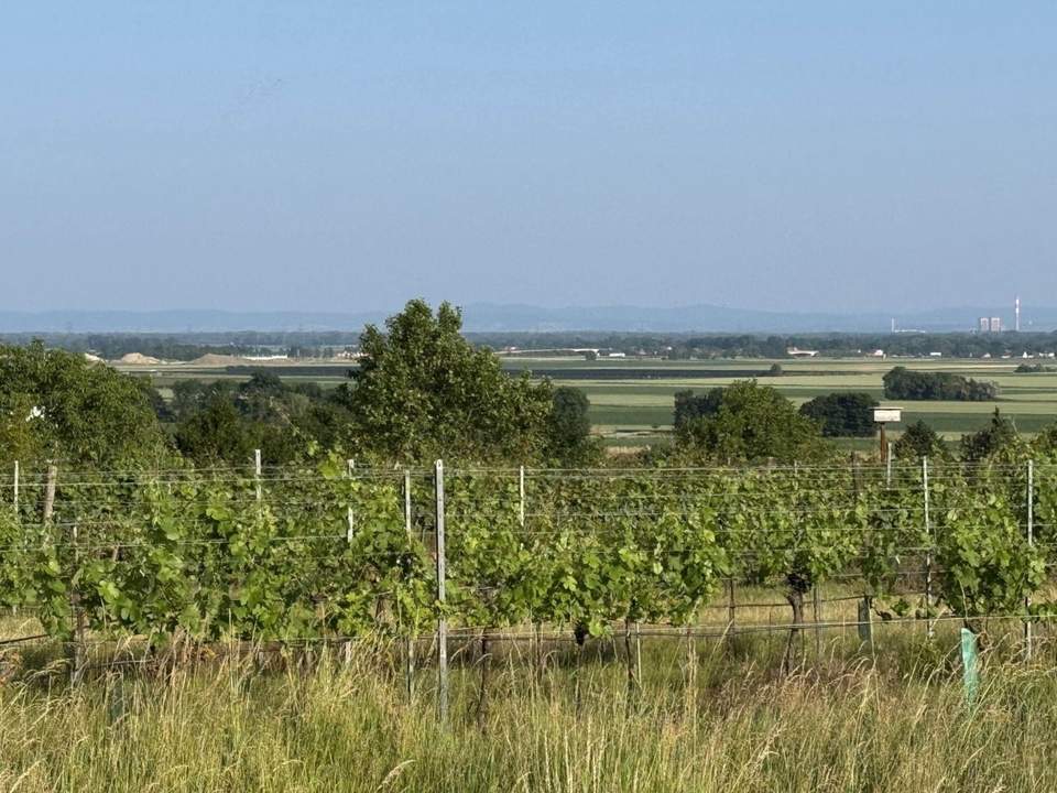 "Der schönste Baugrund am Wagram"
