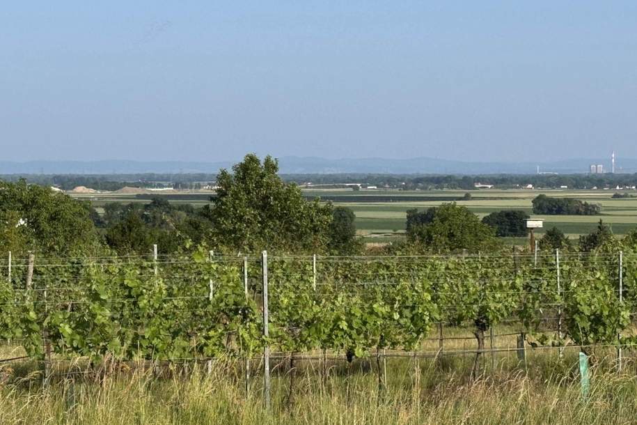 "Der schönste Baugrund am Wagram", Grund und Boden-kauf, 150.000,€, 3481 Tulln