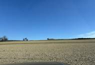7.800 m² Baugrund in idyllischer Lage, umgeben von Rad-und Wanderwegen im mittleren Burgenland