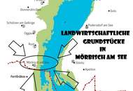 Landwirtschaftlich genutzte Grünflächen in Mörbisch