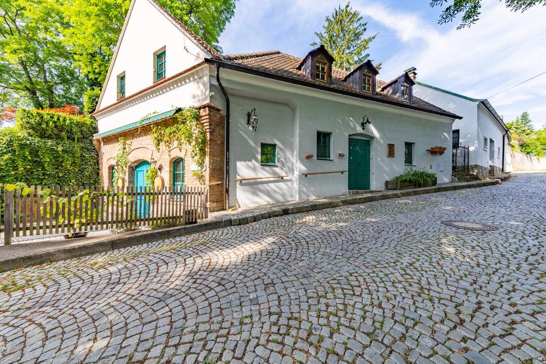 WOHNEN UND ARBEITEN IN EINEM - EXKLUSIVES LOKAL/WEINKELLER MIT WOHNUNG & DACHTERRASSE!