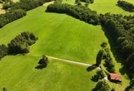 Zum Verkauf steht ein zusammenhängendes Landwirtschafts- und Waldgrundstück mit Holzhaus