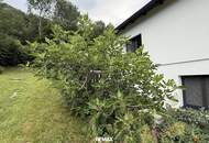 **Traumhaftes Einfamilienhaus mit Pferdestall, Koppel und großem Grundstück in Bocksdorf**