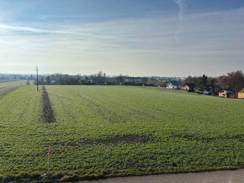 Eigentumswohnung mit Loggia in wunderschöner, ruhiger Aussichtslage nahe Lindetwald