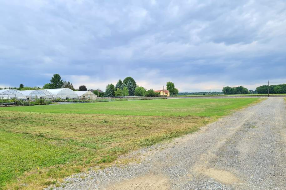 Ebene, sonnige Acker- Wiesen Freilandfläche mit eigener Zufahrt in guter Lage!, Grund und Boden-kauf, 81.800,€, 8472 Leibnitz