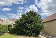 Weinviertler Haus mit großen Grundstück