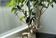 Boutique Apartment in zentralster Lage (308)