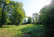 Reihenhaus an der Stadtgrenze mit Eigengarten, Garagenplatz und riesigem Gemeinschaftsgarten