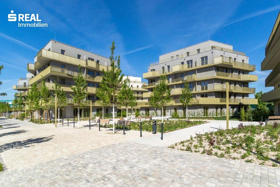Hirschfeld - Ihr neues Zuhause im Grünen - anfragen, besichtigen, einziehen - 41 bis 96 m²