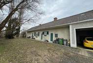 Ackerfläche Nähe Bad Radkersburg mit Altbestand