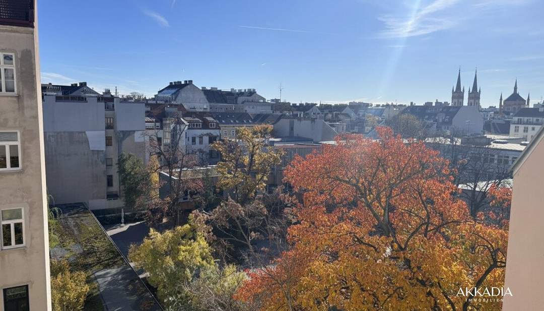 Grünblick mitten in der Josefstadt