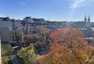 Grünblick mitten in der Josefstadt