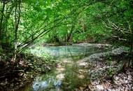 Ganzjahresbetrieb mit hervorragende Auslastung und Umsatz - Hotel Garni